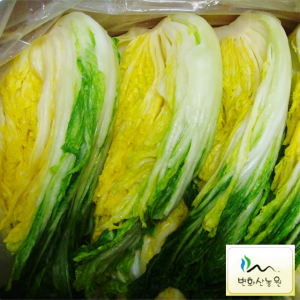 NO제초제 강원도 고랭지 절임배추(10kg) 무료배송